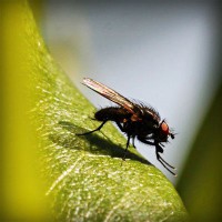 /album/diyet/photolia-a04-jpg/